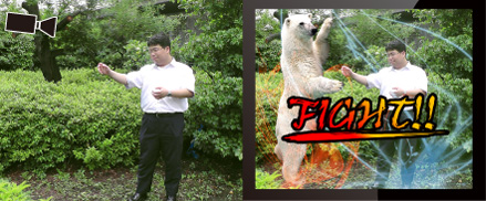 動画・画像の合成画像