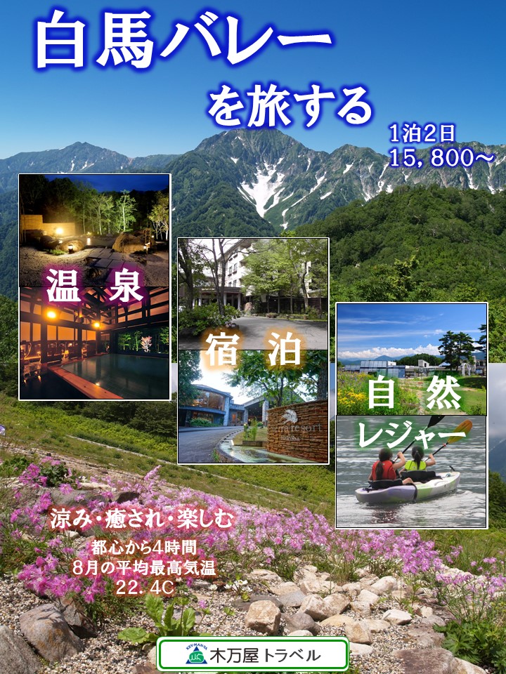 白馬のスマートパンフ